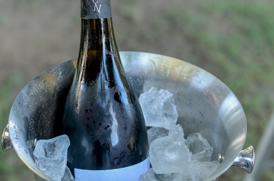 visit-the-winery-gallery-pic-4